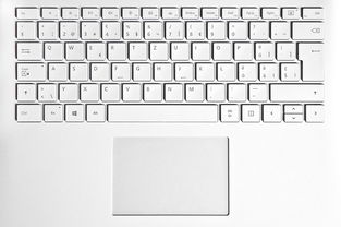 (驯龙物语cdkey礼包大全)202" 驯龙物语CDKEY兑换码2024：新鲜刺激的龙类冒险等你来体验