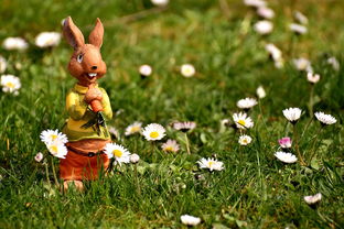 秒速萌兔游戏重新玩的详细步骤与技巧解析，让你轻松重拾游戏乐趣