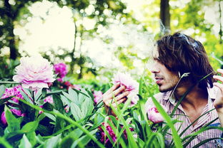 (玫瑰不常有小说全文免费阅读)玫瑰不太乖小说:荆棘的爱情之路,他与她的纠葛纷争 (玫瑰不常有小说全文免费阅读)玫瑰不太乖小说:荆棘的爱情之路,他与她的纠葛纷争