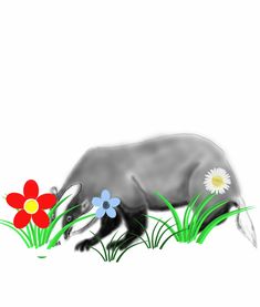 (童话作文森林王国)探秘神秘的森林王国——用300字童话描绘一个奇幻童话世界 (童话作文森林王国)探秘神秘的森林王国——用300字童话描绘一个奇幻童话世界