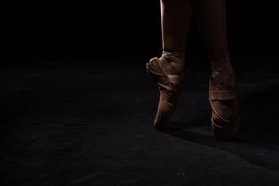 (冰公主芭蕾舞)快速下载冰雪公主的芭蕾情缘,绝对不容错过! (冰公主芭蕾舞)快速下载冰雪公主的芭蕾情缘,绝对不容错过!