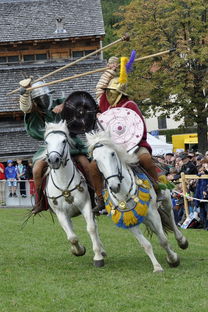 经典王者传承!铁骑征战手游,掌控千军万马,演绎震撼战争史诗! 经典王者传承!铁骑征战手游,掌控千军万马,演绎震撼战争史诗!