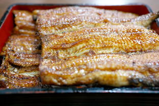 (寻找最近的蛋糕店)发现离我最近的美味蛋糕店,品尝新鲜烘焙的诱人甜品 (寻找最近的蛋糕店)发现离我最近的美味蛋糕店,品尝新鲜烘焙的诱人甜品