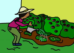 超级萌物养成手游18+:挖掘二次元世界的趣味拔萝卜 超级萌物养成手游18+:挖掘二次元世界的趣味拔萝卜