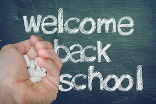 (我要当校长内购)揭秘我要当校长内置MOD菜单:打造完美校园管理系统的关键步骤 (我要当校长内购)揭秘我要当校长内置MOD菜单:打造完美校园管理系统的关键步骤