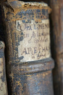 (九黎族分哪九个民族)探索九黎族的历史渊源及其与现今各民族的关系与影响 (九黎族分哪九个民族)探索九黎族的历史渊源及其与现今各民族的关系与影响