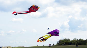 (小燕子飞儿歌舞蹈教学视频教程)飞舞在音符间：走进《下 小燕子》的儿歌诗意世界