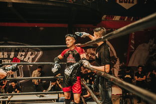 (如何彻底删除部落与战争英雄游戏数据和账号)如何彻底删除部落与战争英雄游戏数据和账号