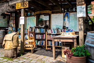 (小镇惊魂1无尽长廊)在小镇惊魂中无尽徘徊：探秘神秘走廊的恐怖秘密