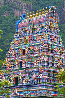 (探索奇妙世界下载)探索奇妙世界：穿越彩色迷宫，寻找隐藏的宝藏和谜题