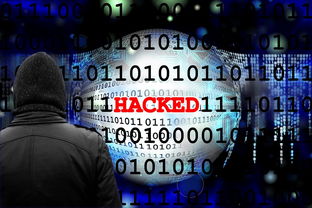 澳门黄信B2024全国图纸记录|权威数据解释落实_红单版1.302