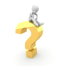 探索不二学堂：培养全面发展的学生，塑造未来领袖的教育理念与实践