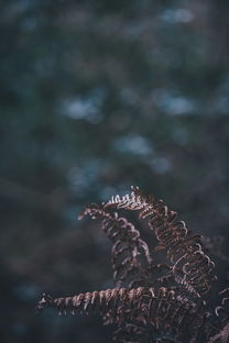 (洪荒:我是天道化身)我就是洪荒天道：领悟宇宙法则，掌控万物变迁的终极之旅