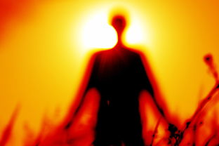 探索暴怒之士屠龙历程：怒斩屠龙之传世霸主精神内涵与传承方式影响研究