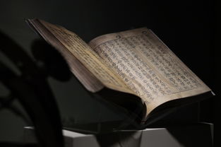 (锦衣天下介绍)解析‘锦衣天下’的深层含义及其在文学与历史中的象征意蕴