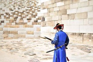 与江湖侠士并肩战斗:《独步武林小游戏》揭示古代武术文化的精神底蕴 与江湖侠士并肩战斗:《独步武林小游戏》揭示古代武术文化的精神底蕴