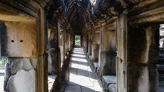 永生不死之梦：一位国王的探索与追求作文400字