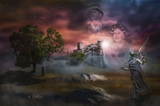 (塞拉与诺艾尔密码)塞拉与诺艾尔迷雾森林：神秘魔幻世界的探索之旅