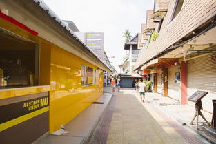 佩皮摩登商店全部解锁小镇，发现隐藏在城市中的优质购物新去处