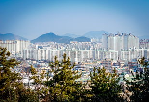 详解四海仙妖记手游攻略：最全角色养成、战术布阵与副本解锁利用攻略