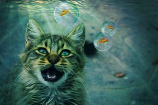 (怪猎世界 wiki)免费获取最全怪物猎人世界Wiki下载资料,助你成为顶尖猎人! (怪猎世界 wiki)免费获取最全怪物猎人世界Wiki下载资料,助你成为顶尖猎人!