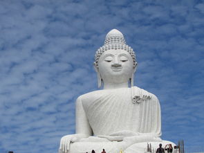 (天y古纪)从古经天纪八门,探寻命运与机缘的奥秘 (天y古纪)从古经天纪八门,探寻命运与机缘的奥秘