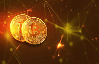 我绝对是大明星： 我的光芒照耀整个娱乐圈，无人可比。