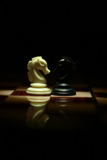 (电脑象棋游戏推荐)探索智慧世界：电脑象棋游戏的策略与技巧大揭秘