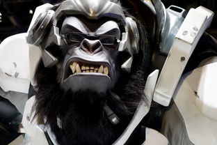 (末代侠客 steam)末代侠客网页版：挥剑行侠仗义，江湖传奇重现于指尖