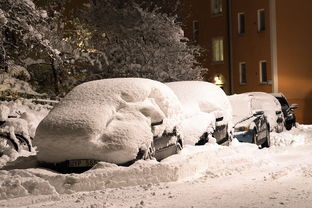 (地铁跑酷冰雪版下载)在冰雪版的地铁跑酷中感受极致刺激与挑战