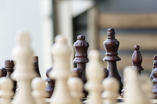 一个象棋车踏上攻略全局之旅：探索如何使用战术以一车挑战整个棋盘的精彩游戏