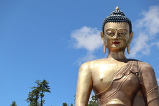 探秘·RY乐园：奇幻世界中的乐园之旅，探寻游乐设施背后的故事与秘密
