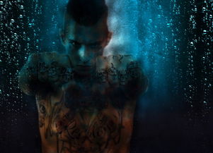 (《墨影》)墨影侠踪一共几章?深入探究这部小说的章节结构和情节发展 (《墨影》)墨影侠踪一共几章?深入探究这部小说的章节结构和情节发展