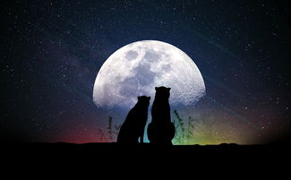 2020年最精彩的战斗机空袭手游大作，史上最刺激的空战体验就在其中!