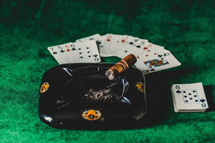 如何在废品大亨游戏中高效利用红色谷仓资源，成为顶级废品大亨的全攻略与实用技巧