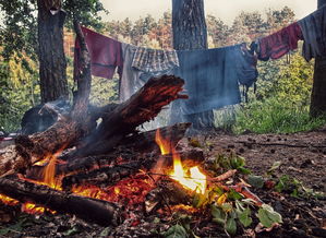 (荒野的召唤怎么改数据)荒原召唤游戏中如何安全高效地更改账户密码详细指导