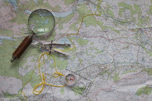 深度解析卓越大陆手游：探索这款全新游戏带来的精彩冒险与无限可能