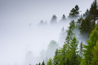 (山有扶苏诗经翻译)山有扶苏全诗讲解:解读中国古代名篇《山居秋暝》的深刻内涵 (山有扶苏诗经翻译)山有扶苏全诗讲解:解读中国古代名篇《山居秋暝》的深刻内涵