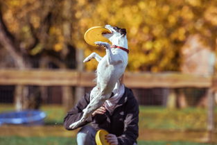 揭秘玄机手游的独特魅力与游戏特点,让你畅享无与伦比的游戏体验 揭秘玄机手游的独特魅力与游戏特点,让你畅享无与伦比的游戏体验