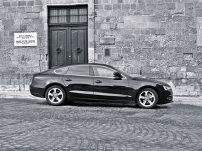 (豪车驾驶游戏)豪车盛宴游戏视频揭秘:顶级座驾与华丽游戏盛宴的奢华碰撞 (豪车驾驶游戏)豪车盛宴游戏视频揭秘:顶级座驾与华丽游戏盛宴的奢华碰撞