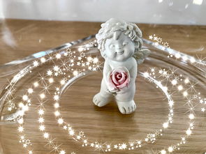 (代号zny)代号撤离停服了吗?最新消息揭秘,游戏玩家焦急等待答案! (代号zny)代号撤离停服了吗?最新消息揭秘,游戏玩家焦急等待答案!