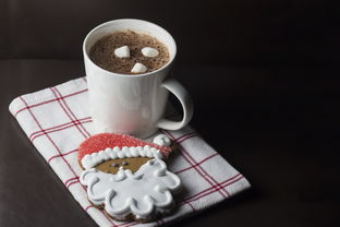 (巧克力圣诞房子)用巧克力和糖做的圣诞小屋,让你感受圣诞的甜蜜气息 (巧克力圣诞房子)用巧克力和糖做的圣诞小屋,让你感受圣诞的甜蜜气息
