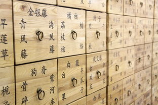 (搜索中药铺)下载中药铺子正版安装,打开贴心的中医养生世界 (搜索中药铺)下载中药铺子正版安装,打开贴心的中医养生世界