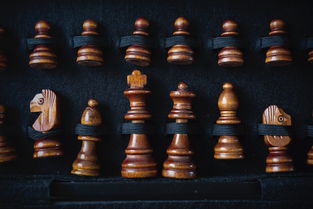 (电脑象棋软件棋力排名)最受欢迎的电脑象棋软件推荐及使用技巧大揭秘