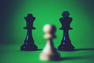 玉之魂游戏:探索古老传说中的神秘世界,挑战心灵的深度与勇气 玉之魂游戏:探索古老传说中的神秘世界,挑战心灵的深度与勇气