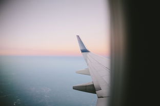 天空守望者手游：探索未知世界，体验激动人心的冒险之旅与精彩剧情