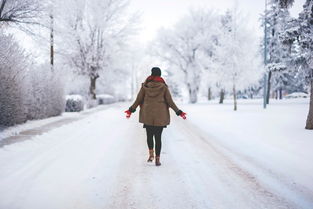 (雪中回眸的作品集打包下载百度云)雪中回眸的小说下载百度云,让你感受冬日温情的美妙故事分享 (雪中回眸的作品集打包下载百度云)雪中回眸的小说下载百度云,让你感受冬日温情的美妙故事分享