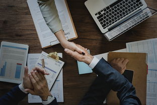 (开心狼人最新版下载安装2021)为什么《开心狼人》突然下架？原因揭秘让玩家们猝不及防！