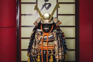 武侠之天段武途：揭秘江湖中浸泡战斗与阴谋，探索武士精神对于人生选择的影响