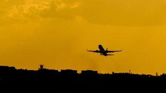 (二战空战视频大全)下载二战空战大全，重温历史战役与传奇飞行英雄的壮举！